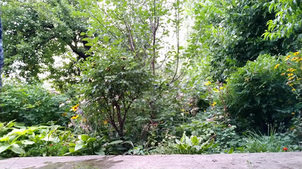 Thumbnail of Sweet Mother-in-law Helps Her Son-in-law Pee and Pees While Standing