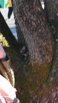 Teh boozing dan menjilat tetek! Luar Tambahan Sebelum Keseronokan Adegan Penuh