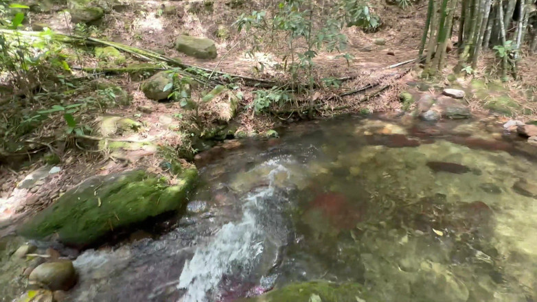 Saraymike: A vadia da Sara gosta do namorado corno da amiga...