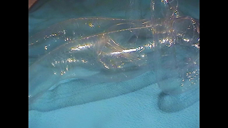 Mark Hannes: Clear Doll Fuck Masturbasi