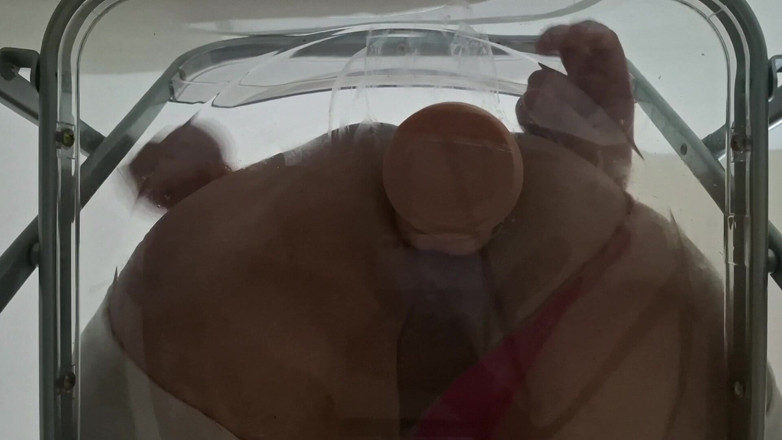 fermerino: Trans Fat Ass Gwen Facesitting and Anal Fucked with Creampie...