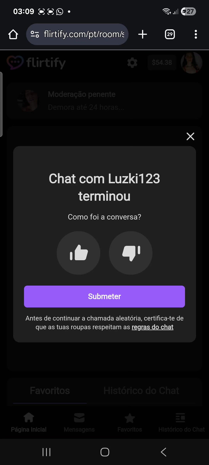 Renatinharj: 我给Vanessinha打电话，对她手淫