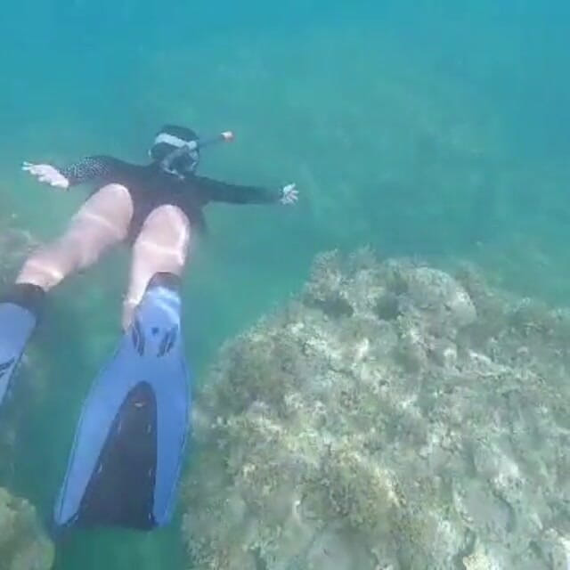 creamberryfairy: イマ・マーメイド