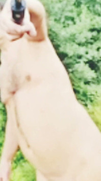 Naked Selfie Walk