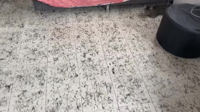 Solo_incognita: 害羞的拉丁女孩被引诱并用力操