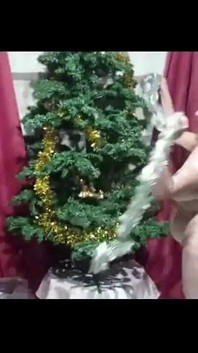 “继母圣诞节和圣诞 2023”的版本