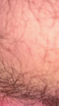 Close up Hairy Hole