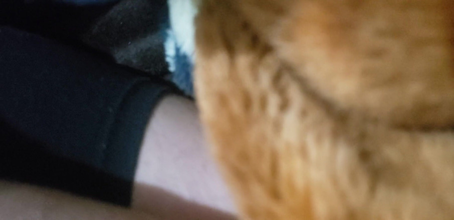 Mexicasero: レギンスを着たロマンチックなラテンカップル