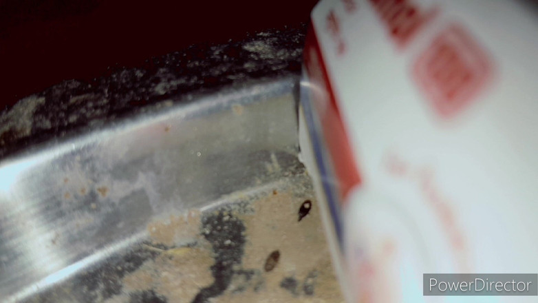 Renudbf: Indian Couple Missionary Fuck