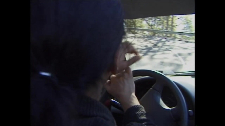 Muschi movie official: Poesje spreidt close-up voordat ze hard neukt