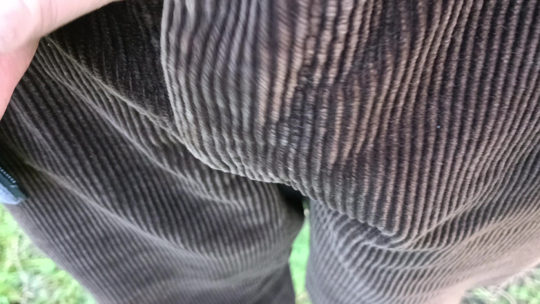 Rockardglans: Đi đường, đi tiểu trong rừng đeo dây - Rockard Daddy