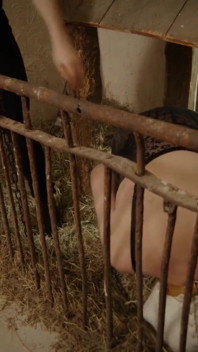 Porcellina estrema schweinestall extrem