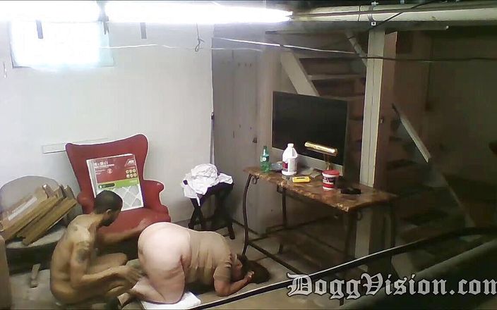 DoggVision: Kontaanbidding hotelmeid poesje naar mond