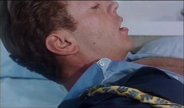 Rocco Siffredi and Friends: Una seducente bionda con la figa pelosa viene trapanata analmente