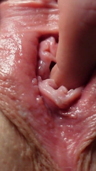 Buceta E Masturbação Anal Closeup