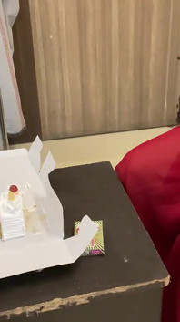 Desi Brother-in-law Gives Birthday Surprise to Her Sister-in-law