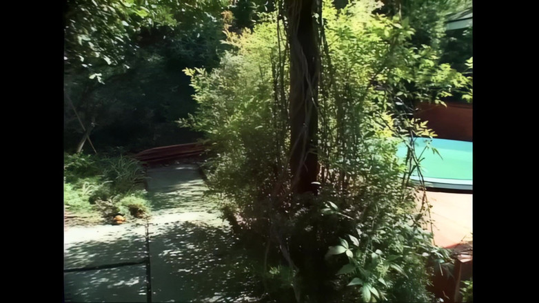 Bizzarre World: Test Małego Lisa