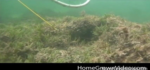 Homegrown Oral: Daisy and Lars are filmed having under water sex