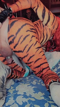Butt girl Tigra time sexy rodada maricas bunda Tiffany Ciskiss