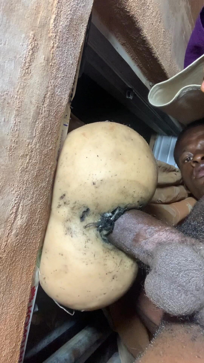 Bangcum8: मुझे इस बड़ी रंडी को इतनी हॉट चोदने दो कि मेरे घर के पड़ोसी गुदा द्वारा चुदाई करते समय टोन बजा रहे हैं