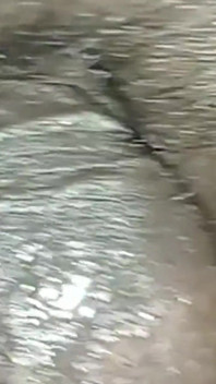 Village Fuking Video