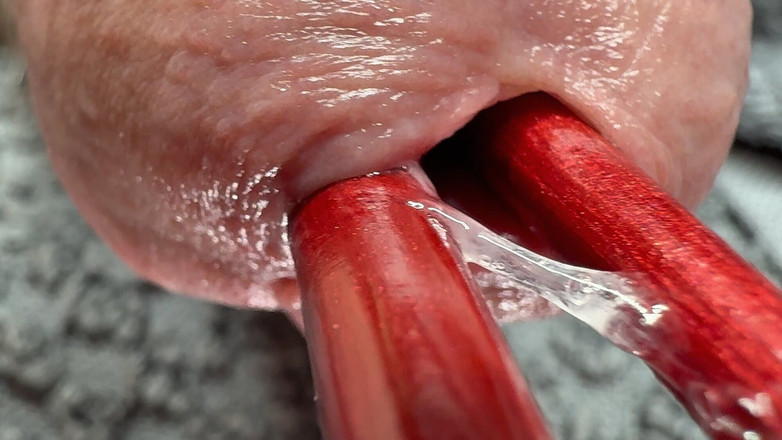 Leonardo-1974: ペニスペネトレーション