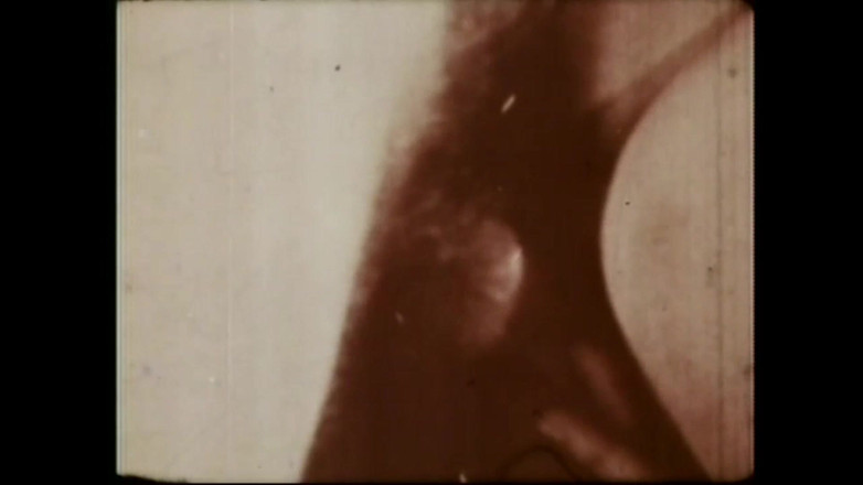 Vintage megastore: Prasečí vzrušovač