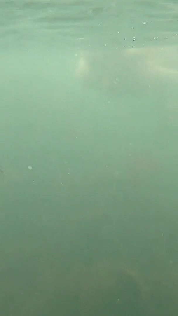 UKCuteGirl Lucy Lauren: Mermaid Spotted! Wet Encounter in Lost Cove