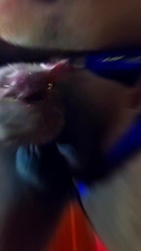 Desi Bengali Horn_y Kolkata Boyfriend Passionate Masturbation with Jelly,real Audio Cum Loaded, Bengali Big Black Cock