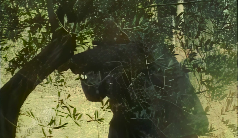 Inhonorof porn: Ordía Anal En El Bosque