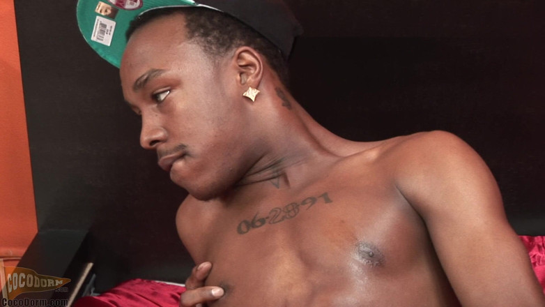 CocoDorm: Dzyer Whyte