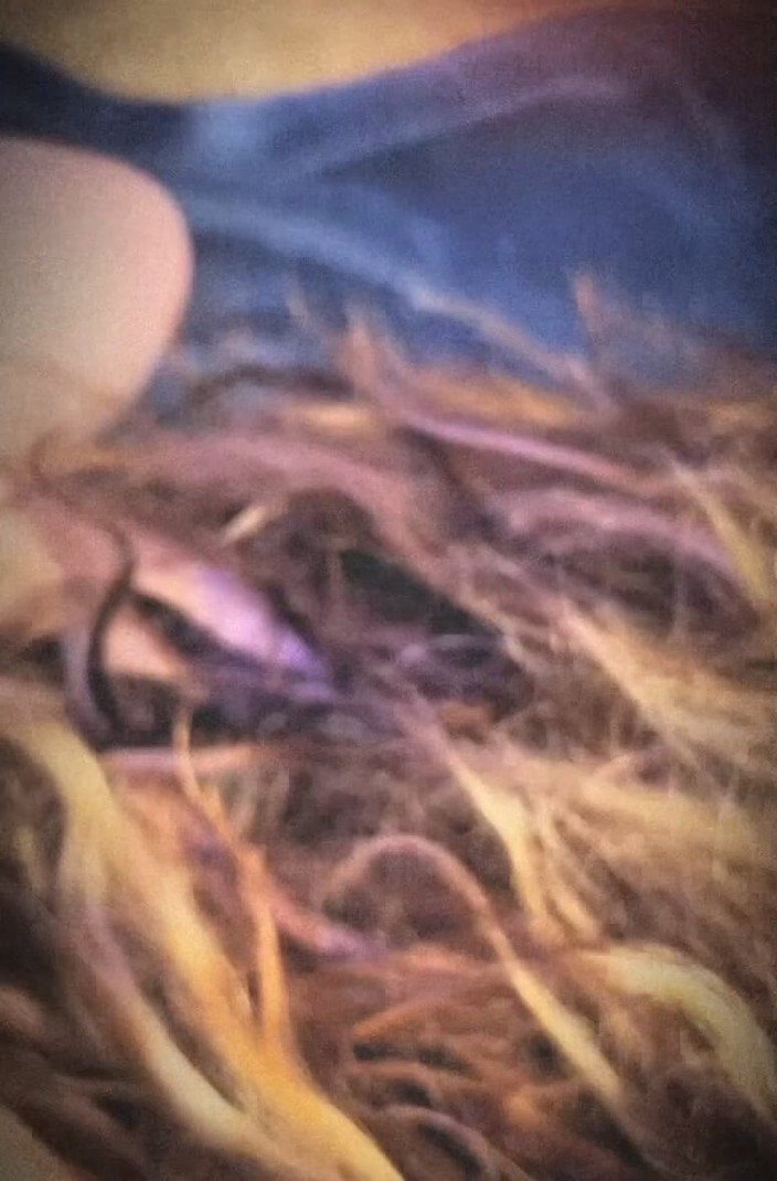 BreAnna Banx: Nişanlım beni arkadan sikiyor