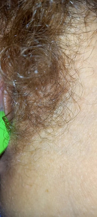Mature Hairy Pussy