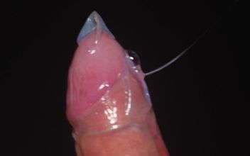 Blowjob in a Condom Very Close up. Red Lips Caress and Lick the Penis.