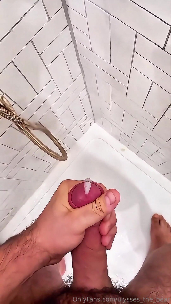 Ulysses the bear: Tvrdá nálož po dlouhém dnikdy den končí