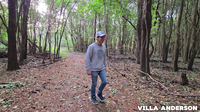 Sweet American: In the Forest with My Friends. Yes, Sex Exists Between...