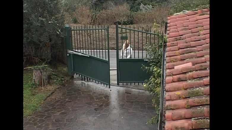 King Of Amateur: Milujte mě nevlastního otce