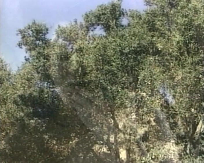 SinWorld - Just the best in porn: Tour Spritz nel mondo di