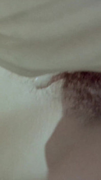 A Tribute to Annette Haven 02