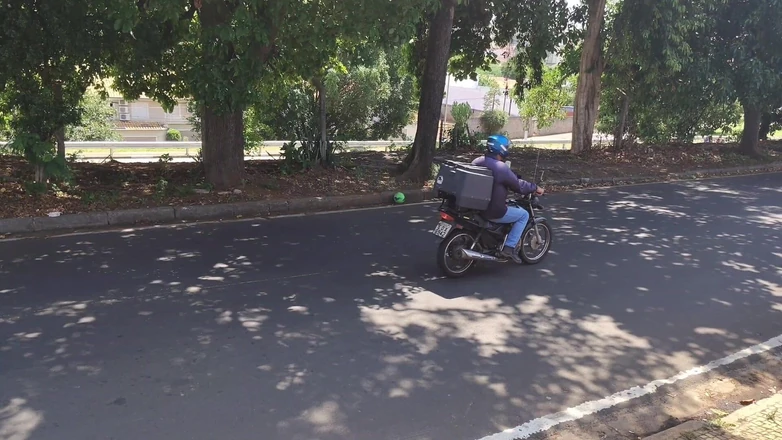 Tiffany Montavani: 형제들은 게임을 할 준비가 되어 있습니까? 당신의 이복 여동생은 공을 득점하기 위해 세게 칠 것이라고 말하고, 차에서 차를 잡습니다.