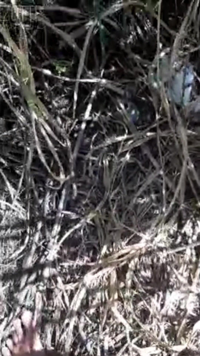 Prezottes_House: Here You Will Find a Way to Maintain Your Sex...