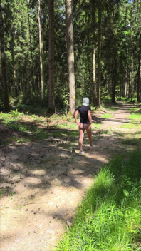 Forest Walk
