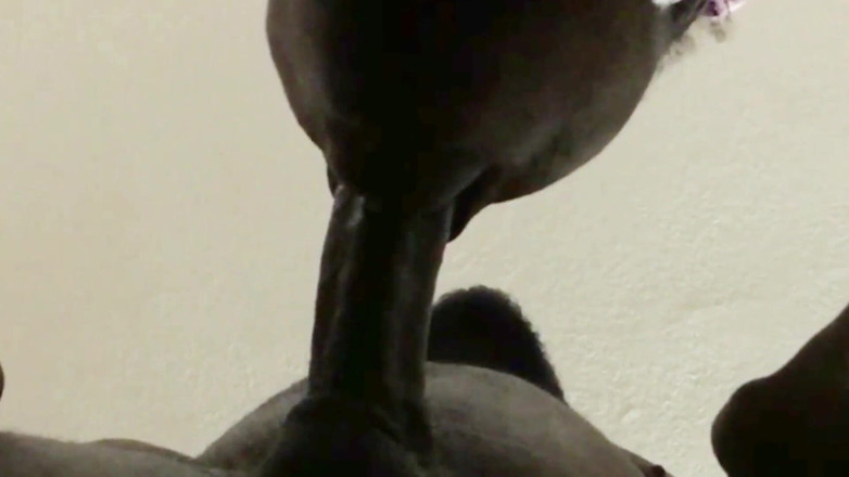 Wildwood21519: Nahaufnahme halsfick