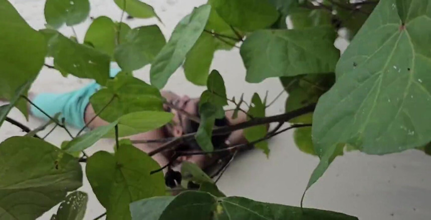 bonghunkx: シー ビーチ マスティ