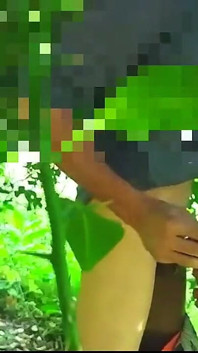 Sex Sex Jungle