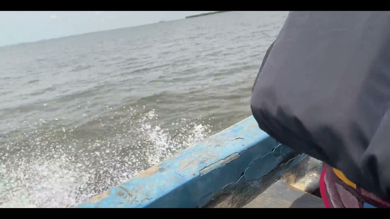 King Sasha's hub: A Journey Through the Sea