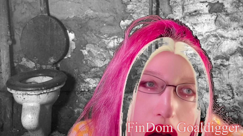 FinDom Goaldigger: Gold toilet transformation
