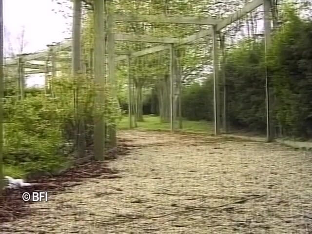 Made in Holland: Xkiss - Mc在海滩上，第4部分
