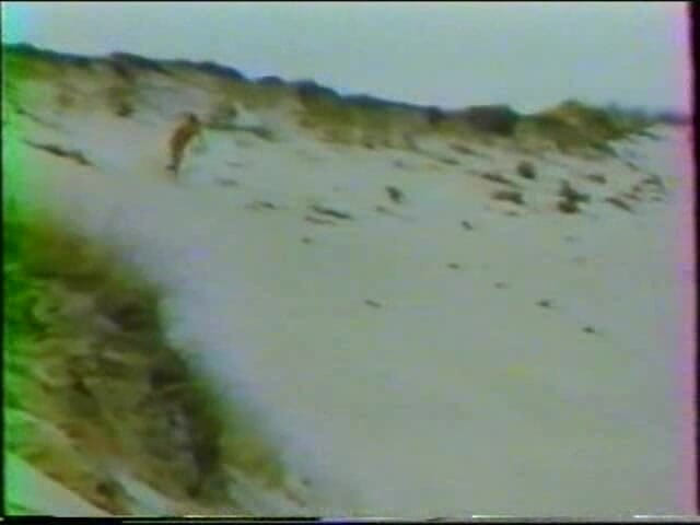 Euro Blue Movies: 바이스 조사 (1977)
