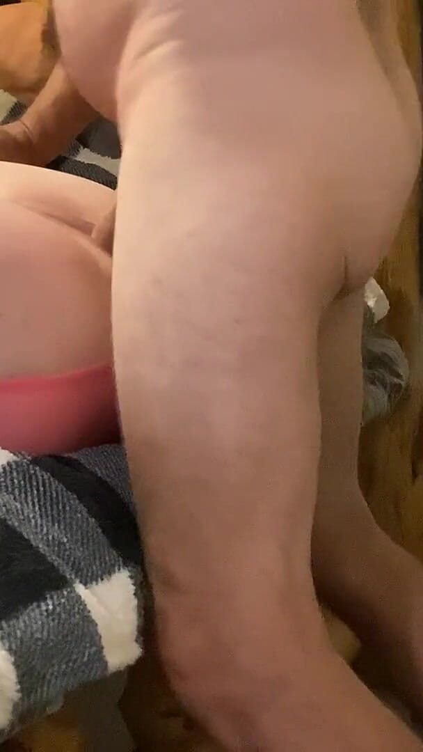 She Wants It (Sally little)